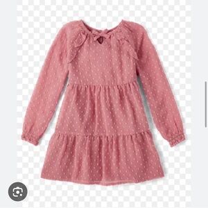 Gymboree Dusty Rose Long-Sleeve Dress
